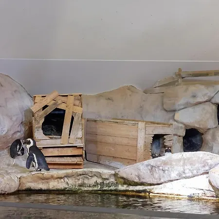 Cozy In With Kitchen Vakantiehuis