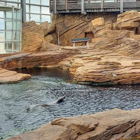 Vakantiehuis Cozy In With Kitchen *