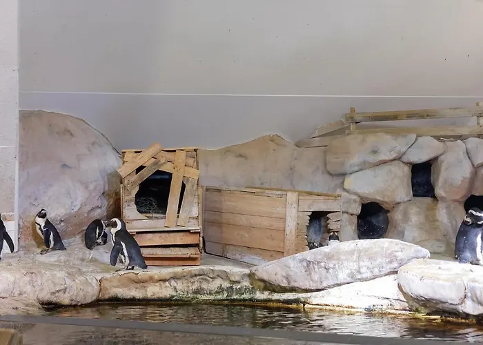 Cozy In With Kitchen 度假居