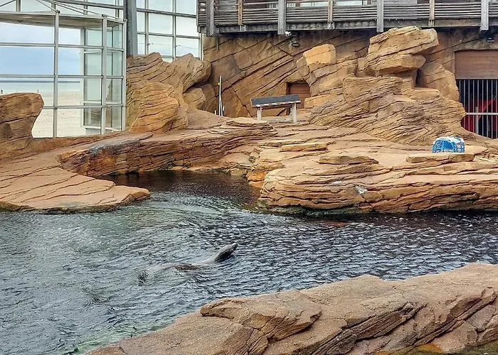 度假居 Cozy In With Kitchen *